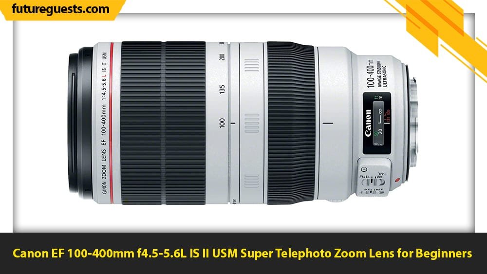 best lenses for wildlife photography Canon EF 100-400mm f4.5-5.6L IS II USM Super Telephoto Zoom Lens