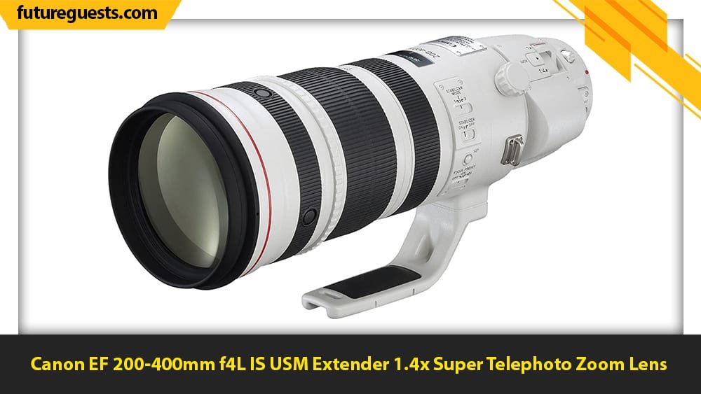 best lenses for wildlife photography Canon EF 200-400mm f4L IS USM Extender 1.4x Super Telephoto Zoom Lens