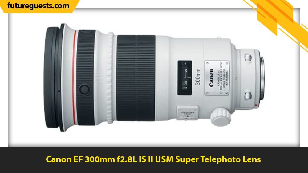 best lenses for wildlife photography Canon EF 300mm f2.8L IS II USM Super Telephoto Lens