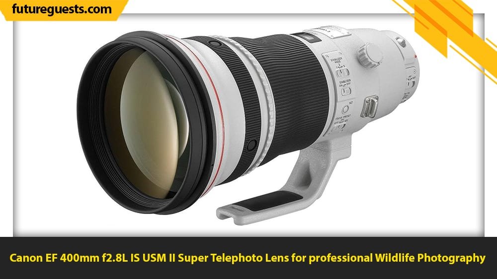 best lenses for wildlife photography Canon EF 400mm f2.8L IS USM II Super Telephoto Lens