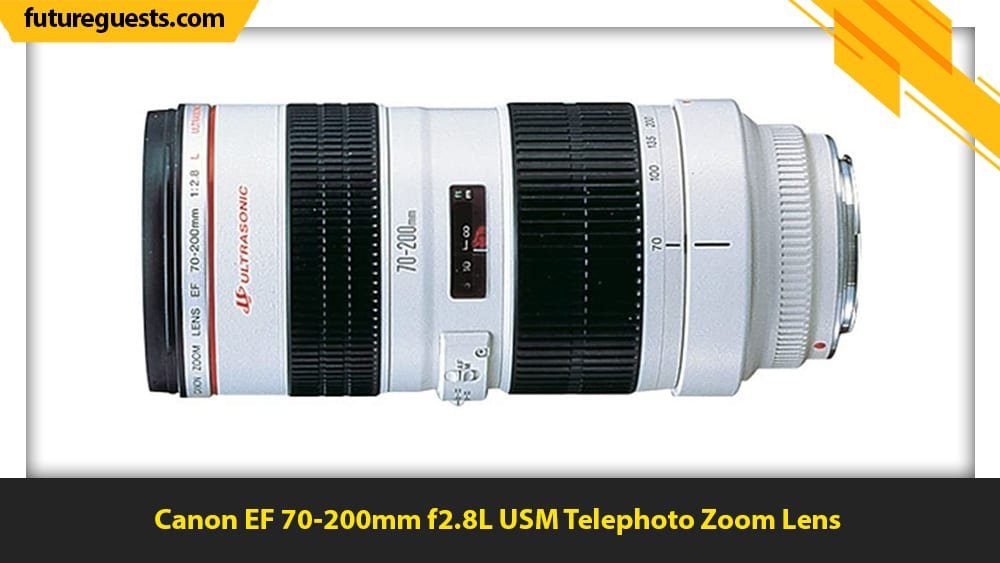 best lenses for wildlife photography Canon EF 70-200mm f2.8L USM Telephoto Zoom Lens