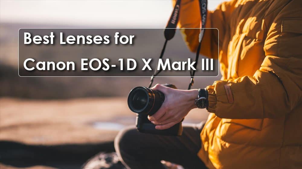 Best Lenses for Canon EOS-1D X Mark III