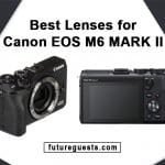 Best Lenses for Canon EOS M6 Mark II: Reviews & Buyers Guide