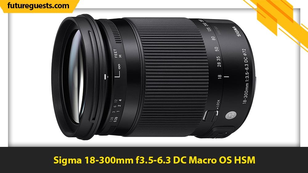 best lenses for nikon d3100 Sigma 18-300mm f3.5-6.3 DC Macro OS HSM