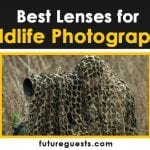 Best Lenses for Wildlife Photography (2021) | Buyers Guide