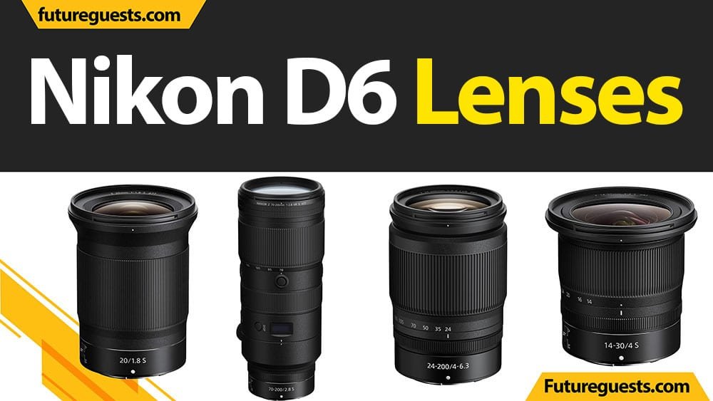best lenses for nikon D6