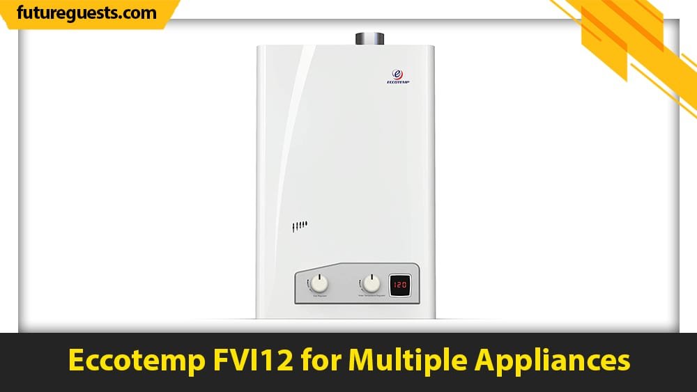 best small tankless water heater Eccotemp FVI12