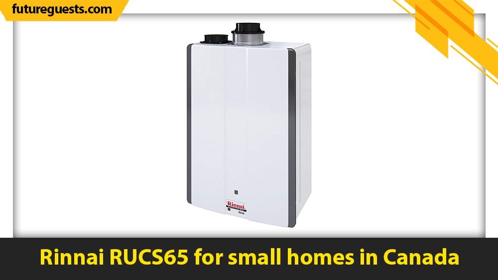 best small tankless water heater Rinnai RUCS65